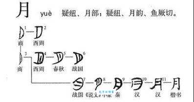 总是读错飨的读音？这篇文章教你如何正确发音！