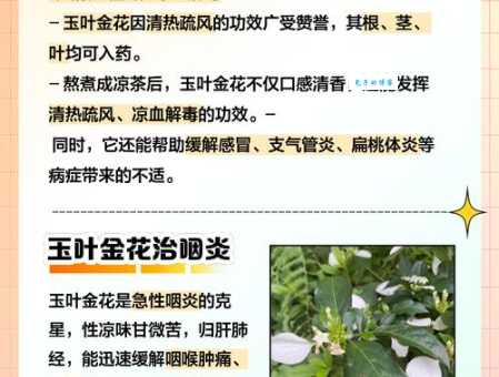 “繁花嫩叶”是什么意思？带你了解它的含义和用法