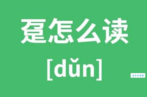 不会读“趸”字？万足念什么？带你轻松掌握趸字含义