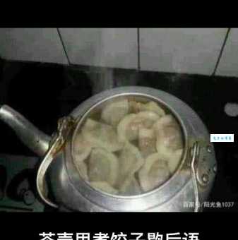 茶壶煮饺子的下一句是什么？都有哪些说法？