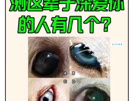 十点差三分代表什么？揭秘这个独特的爱情梗