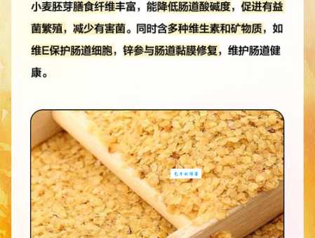 什么是胚芽？小麦胚芽营养价值及胎芽发育知识