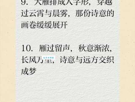 雁过拔毛的真正含义是什么？教你轻松理解成语