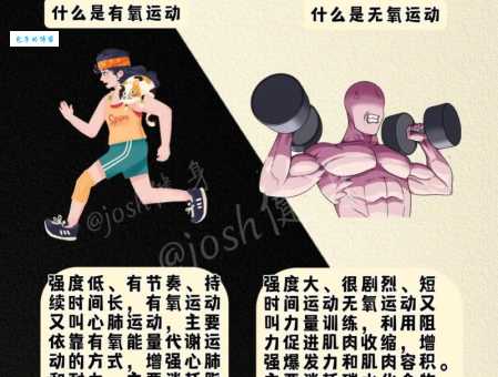 有氧运动和无氧运动的区别是什么？详解有氧运动与无氧运动的差异