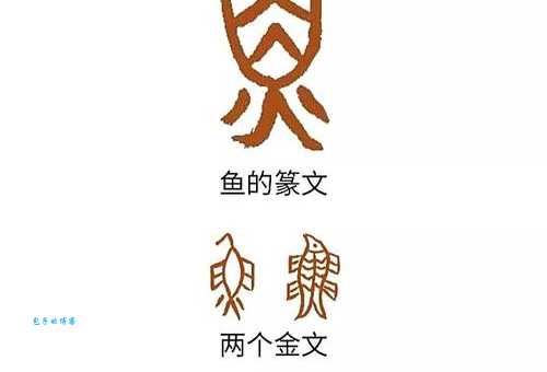 四个鱼字组成的罕见汉字：䲜字的起源和用法