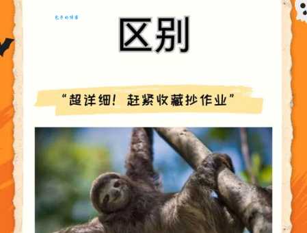 树懒和考拉傻傻分不清？这篇告诉你它们的区别！