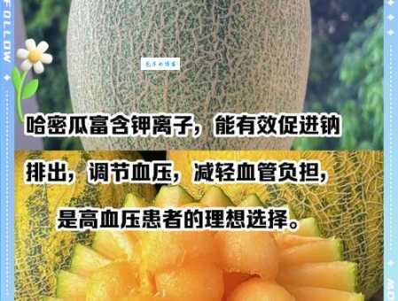 孕妇可以吃哈密瓜吗？哈密瓜是热性还是凉性水果？