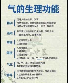 “同气”的真正含义是什么？不同解释大揭秘