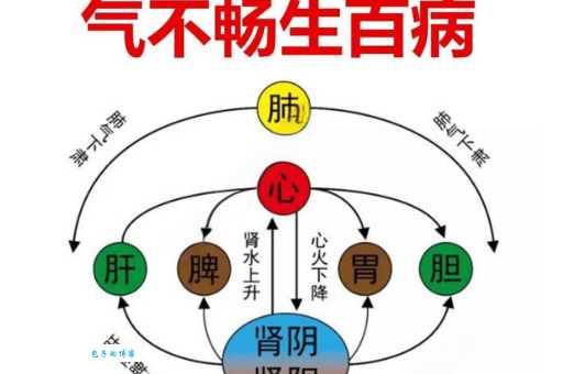 “同气”的真正含义是什么？不同解释大揭秘