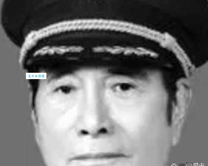 张万年女婿：低调生活背后的传奇故事