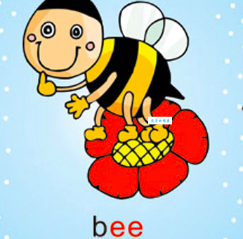 bee的英文解释和例句 bee到底指什么？