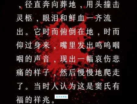 凭吊是什么意思？与缅怀悼念的区别在哪里