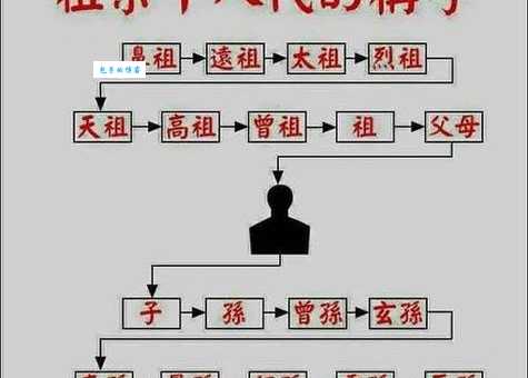 芈月和嬴政的家族关系：简单易懂的解释