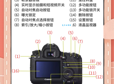 单反数码相机入门指南：简单易懂的讲解与实用技巧