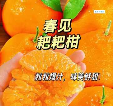 耙耙柑：好吃到让人想分享的讨好型水果