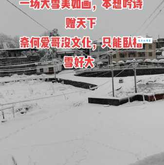 瑞雪兆丰年接什么话最合适？有哪些表达方式？