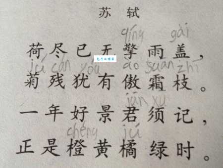 “擎雨盖”是什么意思？简单解释诗句中“擎雨盖”的含义和象征。