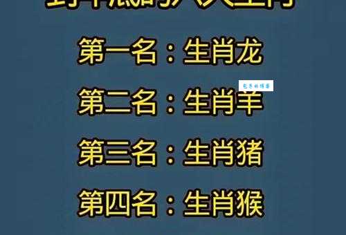七手八脚指的是什么生肖，词语精选落实