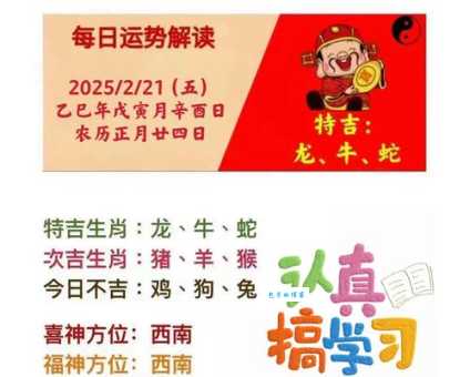 目光远大，力求摘星，决心意志皆坚定代表指什么生肖，精选答案落实