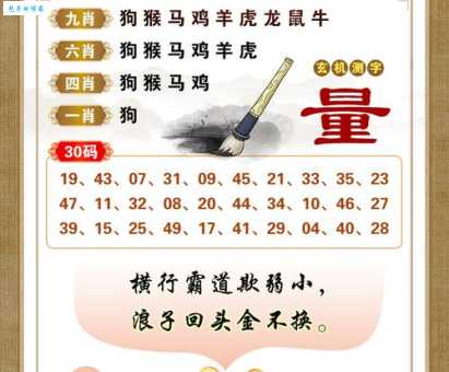 欲钱看粪堆上开花打一生肖代表什么生肖，精选解释释义落实