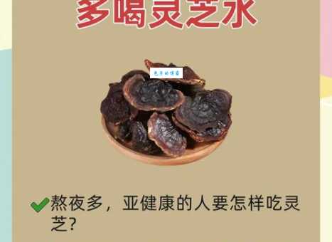 如何正确食用灵芝？简单实用灵芝吃法大全