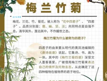花中君子是什么花？梅花兰竹菊哪个更符合？