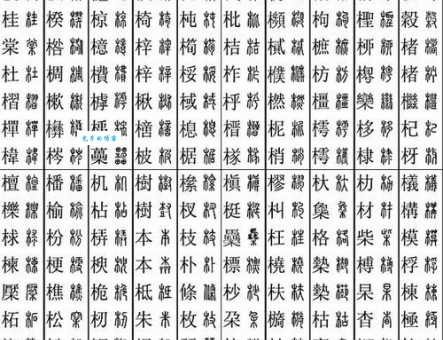 两个木加个耳朵旁是什么字？简单解释及读音