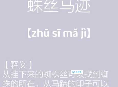 蛛丝马迹：成语里隐藏的“马”是一种怎样的昆虫？