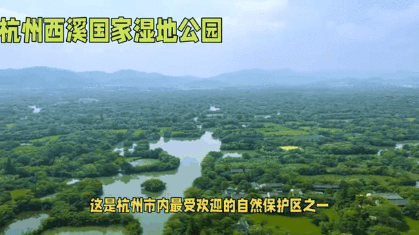 杭州西溪湿地：我国首个国家湿地公园的生态保护之路
