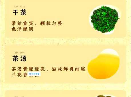 深度揭秘：铁观音原产地究竟是哪里？