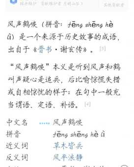 风号浪吼是什么意思？简单易懂的成语释义