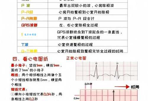 电波系到底是什么？揭秘电波系背后的含义和误解