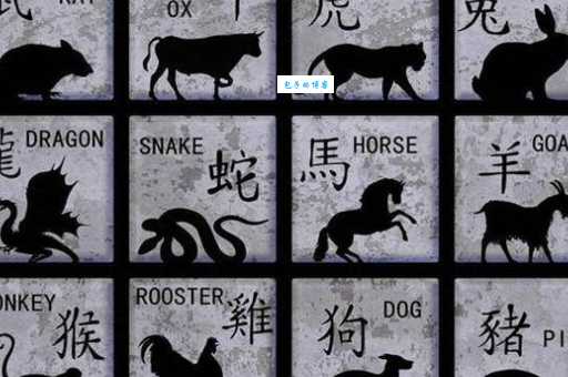 四面通风是指哪一个生肖，猜打一释义最佳成语解释