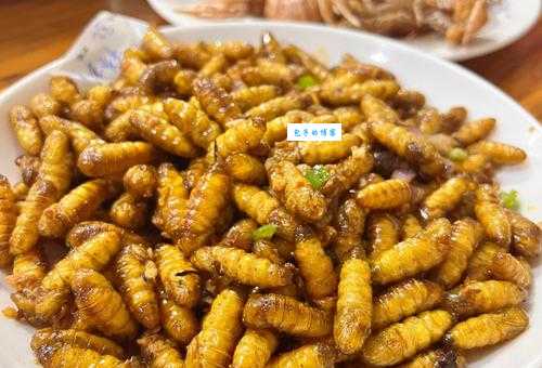 海蟑螂能吃吗？食用海蟑螂的风险和益处有哪些？