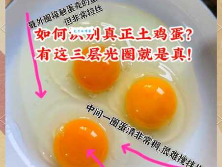 500克鸡蛋等于几个？教你快速计算鸡蛋数量