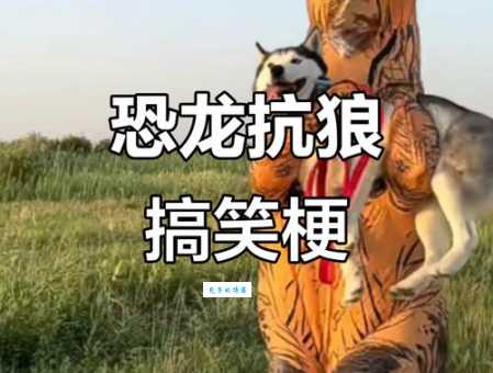 这是什么梗？揭秘“恐龙抗狼”的魔性来源和走红之路