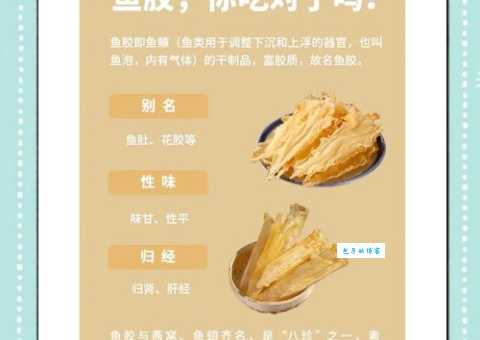 你知道鱼胶是鱼的哪个部位吗？答案是鱼鳔，营养价值很高哦！