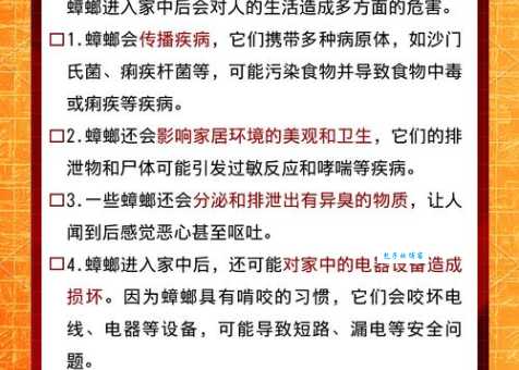 别再用脚踩蟑螂了！这样做危害比你想的大得多！