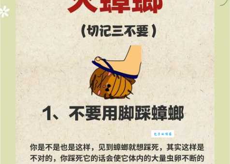 别再用脚踩蟑螂了！这样做危害比你想的大得多！