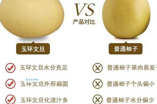 文旦和柚子哪个更好吃？口感差异深度解析