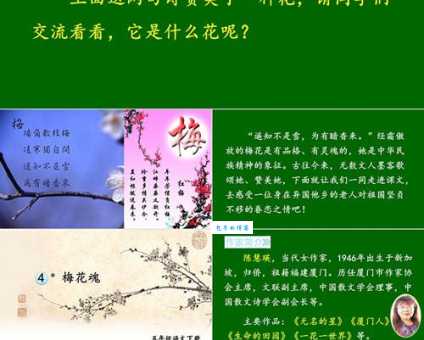 梅花魂中“梅花魂”含义是什么？解读课文核心主题