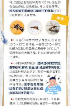蚊子发出嗡嗡的声音因为什么？原来是这样
