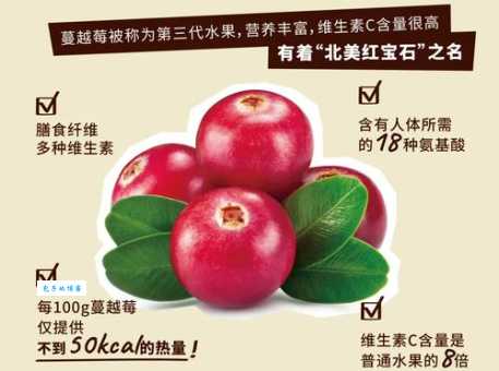 蔓越莓是什么水果？蔓越莓的营养成分和最佳食用方式