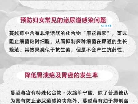 蔓越莓是什么水果？蔓越莓的营养成分和最佳食用方式
