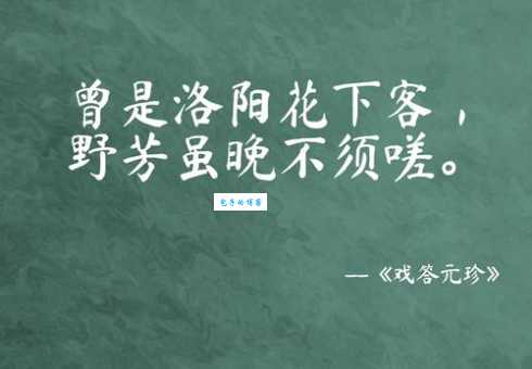 诗句“曾是洛阳花下客”出自谁手？带你了解诗人背后的故事