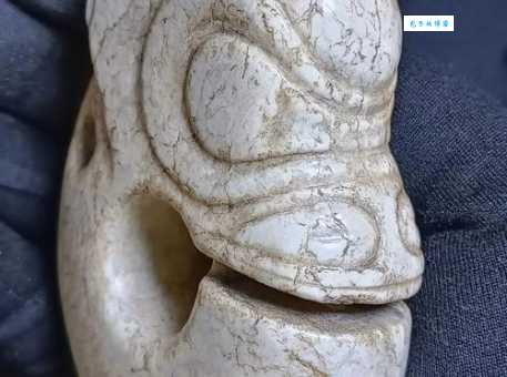 玉猪龙是哪个新石器时代文化的宝贝？
