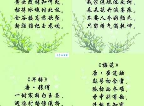 “只留清气满乾坤”诗句描写的是什么植物？梅花还是兰花？