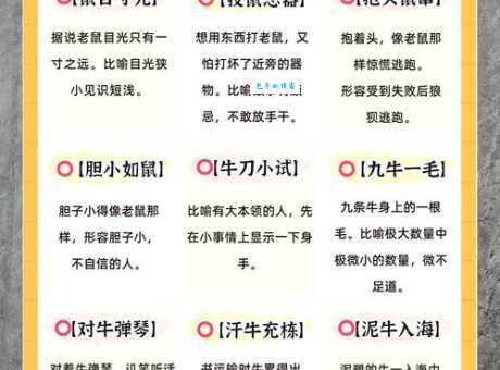 万里挑一代表什么生肖，词语解析落实