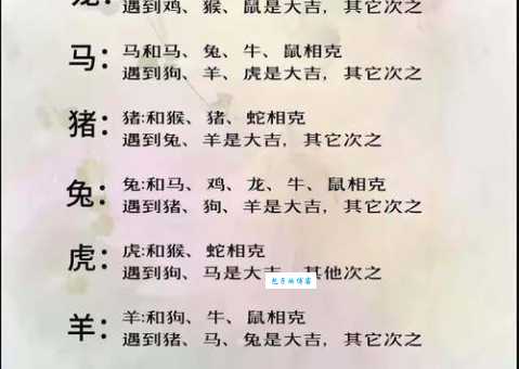 万里挑一是什么生肖，仔细解释落实