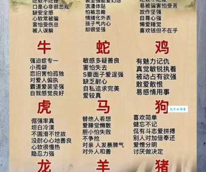 动力十足代表什么生肖，词语解析落实